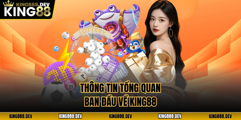 Thông tin tổng quan ban đầu về King88
