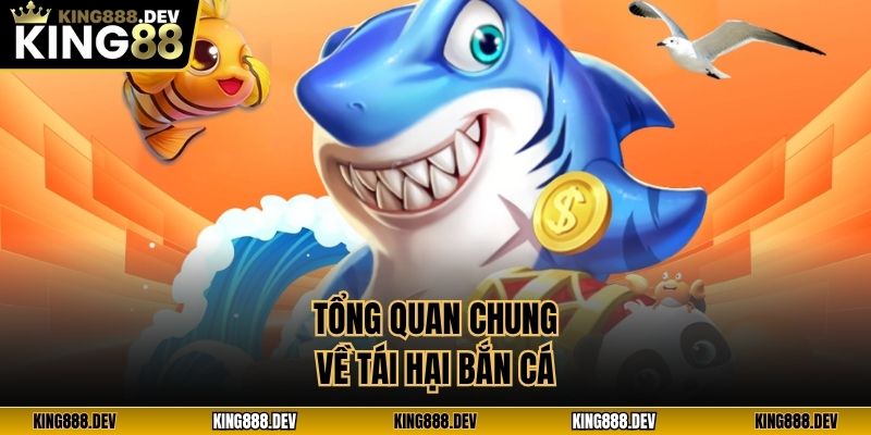 Tính báo động từ tác hại bắn cá