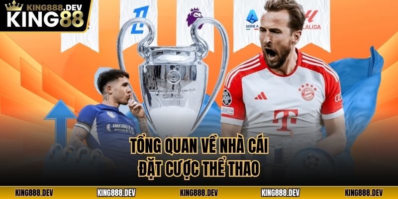Tổng quan về nhà cái đặt cược thể thao