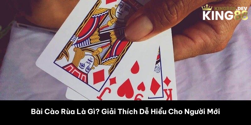 Bài Cào Rùa Là Gì? Giải Thích Dễ Hiểu Cho Người Mới