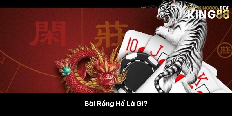 Bài Rồng Hổ Là Gì? 