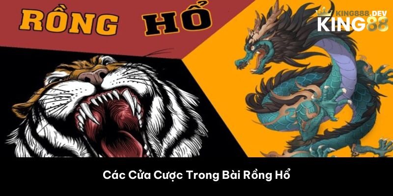 Các Cửa Cược Trong Bài Rồng Hổ 