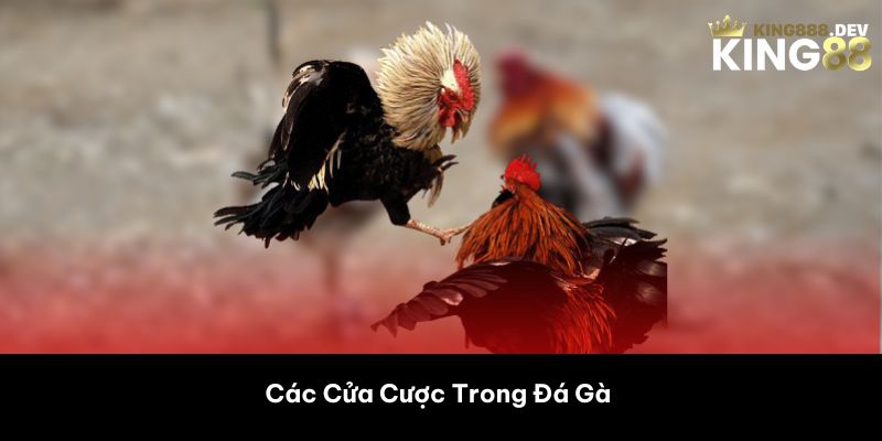 Các Cửa Cược Trong Đá Gà 