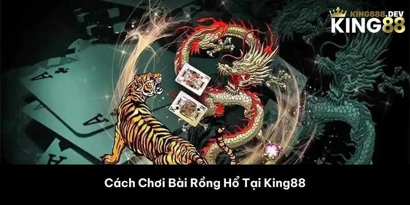 Các Cửa Cược Trong Bài Rồng Hổ 