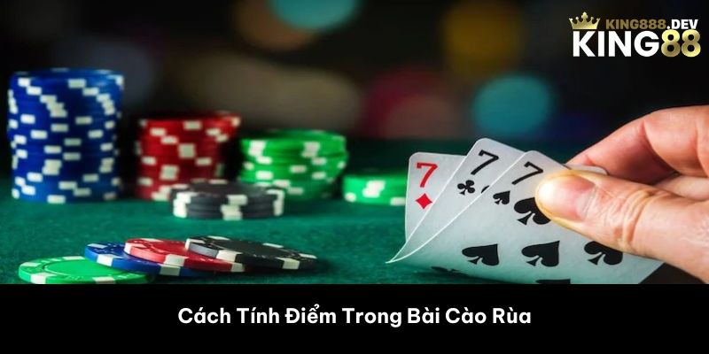 Cách Tính Điểm Trong Bài Cào Rùa 