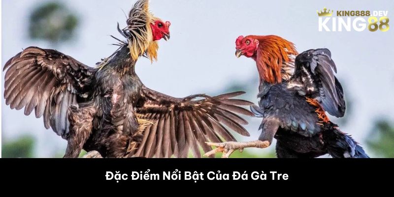 Đặc Điểm Nổi Bật Của Đá Gà Tre 
