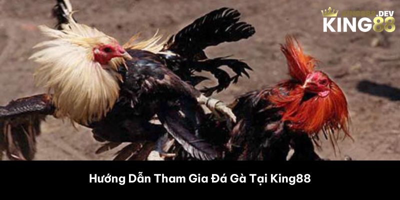 Hướng Dẫn Tham Gia Đá Gà Tại King88 