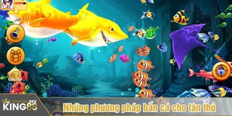 Người chơi nên tập trung chiến lược hợp pháp