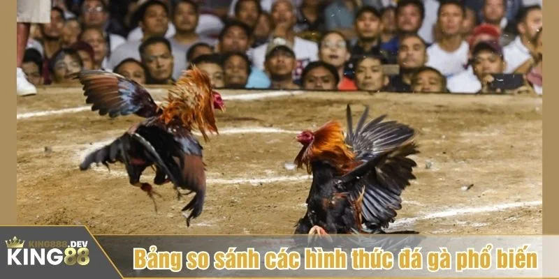 Có nhiều hình thức đấu gà