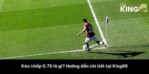 Kèo chấp 0.75 là gì? Hướng dẫn chi tiết tại King88